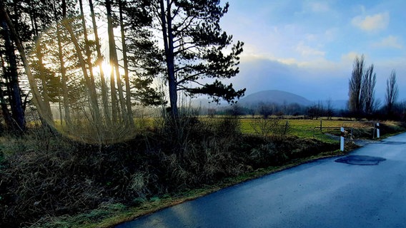 Blick auf einen Kiefernwald vor den Goslarer Bergen. © NDR Foto: Jutta Fricke