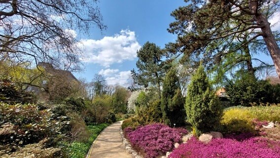 Ein Blick in den Botanischen Garten in Braunschweig. © NDR Foto: Reinhard Vahldiek