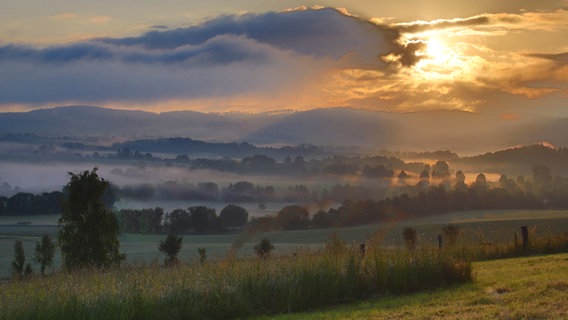 Nebel liegt über Feldern während die Sonne aufgeht. © NDR Foto: Falk Schwarz