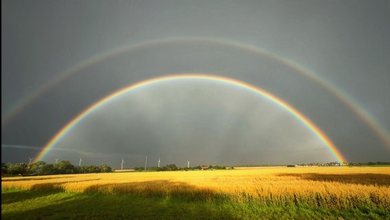 Regenbogen über Wedelheine (Landkreis Gifhorn). © NDR Foto: Valentina Manduka
