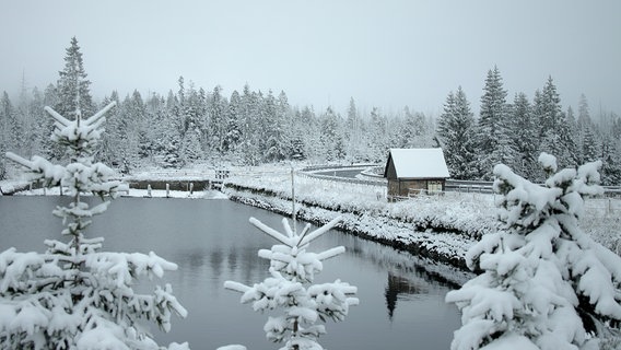 Schnee liegt an einem See bei Osterode im Harz. © NDR Foto: Christian Würzbach