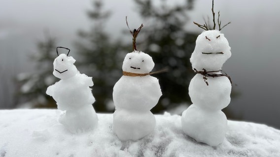 Drei Schneemännchen in Oderbrück © NDR Foto: Falk Schwarz