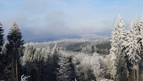 Frost im Harz. © NDR Foto: Falk Schwarz