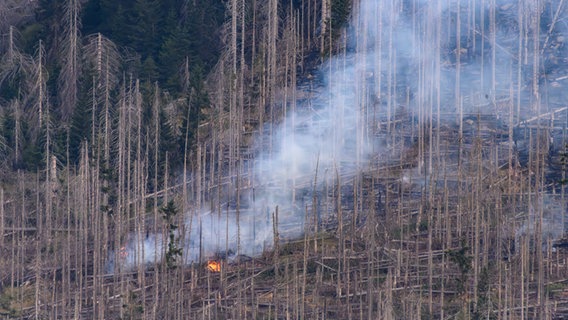 Bei einem Wald·brand steigt Rauch auf. Dieser Wald·brand ist im Harz. © picture alliance/dpa Foto: Swen Pförtner