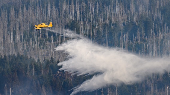 Ein Löschflugzeug ist bei einem Waldbrand am Königsberg unterhalb vom Brocken im Harz im Einsatz. © picture alliance/dpa Foto: Swen Pförtner