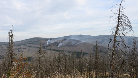 Ein Waldbrand am Königsberg unterhalb vom Brocken im Harz sorgt für dichten Rauch. © picture alliance/dpa Foto: Swen Pförtner