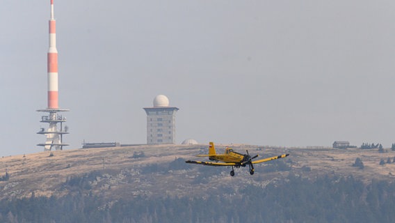 Ein Löschflugzeug ist bei einem Waldbrand am Königsberg unterhalb vom Brocken im Harz im Einsatz. © picture alliance/dpa Foto: Swen Pförtner