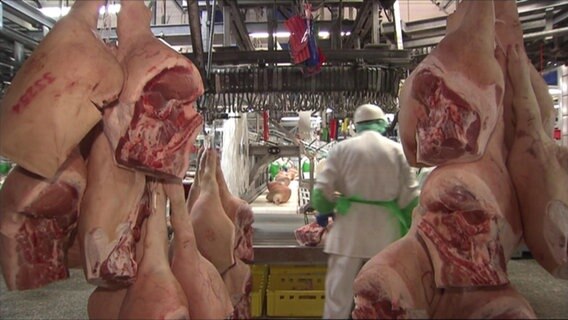 In einer Zerlegeabteilung für Fleisch arbeiten Menschen am Band. © NDR 