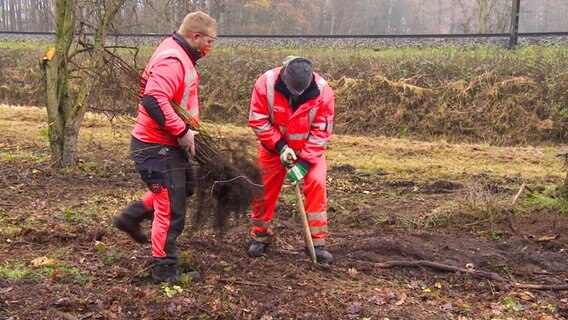 Corona Drei neue Fälle im Landkreis Harburg NDR.de