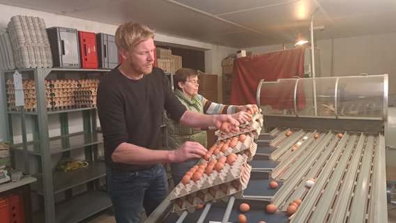 Landwirt sortiert die Eier aus seinem Betrieb © NDR Foto: Birgit Stamerjohanns