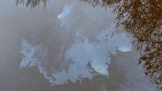 Auf dem Wasser eines Flusses schimmert ein Ölfilm. © picture alliance / dpa | Carmen Jaspersen Foto: Carmen Jaspersen