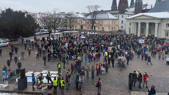 Eine Demonstration von "Fridays for Future" in Oldenburg © NDR Foto: Ursula Hensel