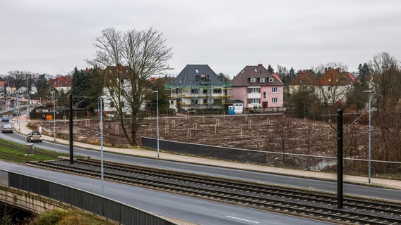 Auf einer Fläche in der Nähe der Stadtbahn werden Bäume angepflanzt. © hannover.contex 