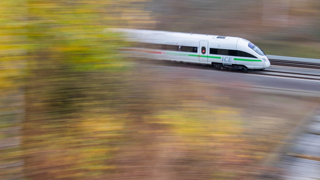 10.000 neue Bäume an der Bahnstrecke HannoverHamburg