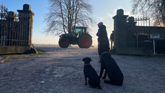 EIn Frau und zwei Hunde stehen vor einem Traktor in Gehrden © NDR Foto: Jan Fragel
