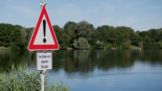 Ein Schild "Vom Baden wird abgeraten - Blaualgen" steht am Hohnsensee. © dpa-Bildfunk Foto: Julian Stratenschulte