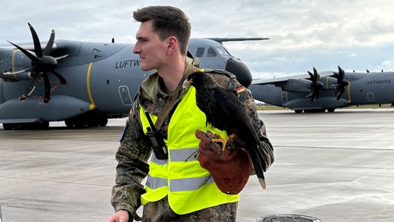 Ein Soldat der Bundeswehr hält einen ausgebildeten Falken auf dem Arm. © NDR Foto: Annicka Erdmann