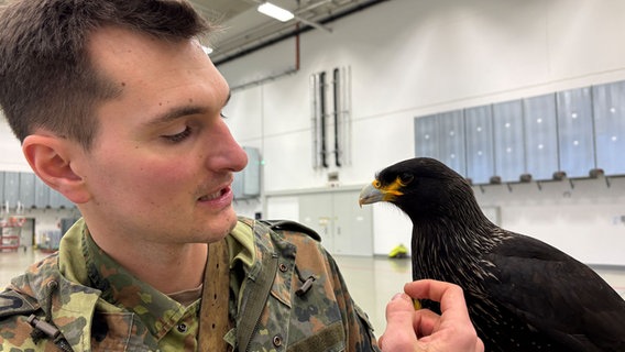 Ein Soldat der Bundeswehr hält einen Falken auf dem Arm. © NDR Foto: Annicka Erdmann