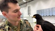 Ein Soldat der Bundeswehr hält einen Falken auf dem Arm. © NDR Foto: Annicka Erdmann