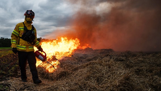 Ein Feuerwehrmann entzündet während der Großübung "Eichkater 2024" ein Übungsfeuer. © Philipp Schulze/dpa Foto: Philipp Schulze/dpa