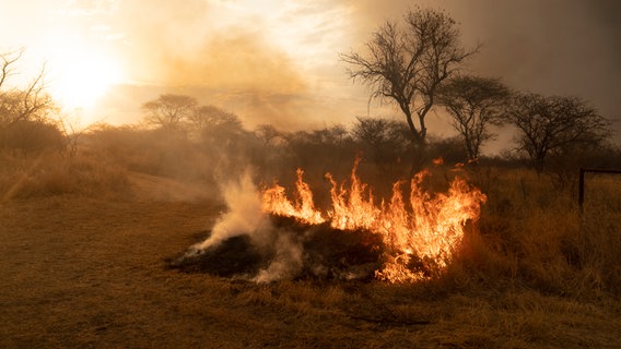 In der trockenen Steppe in Südafrika brennt ein Busch. © Hochschule Hannover Foto: Kim Christin Zeidler und Finn Winkler