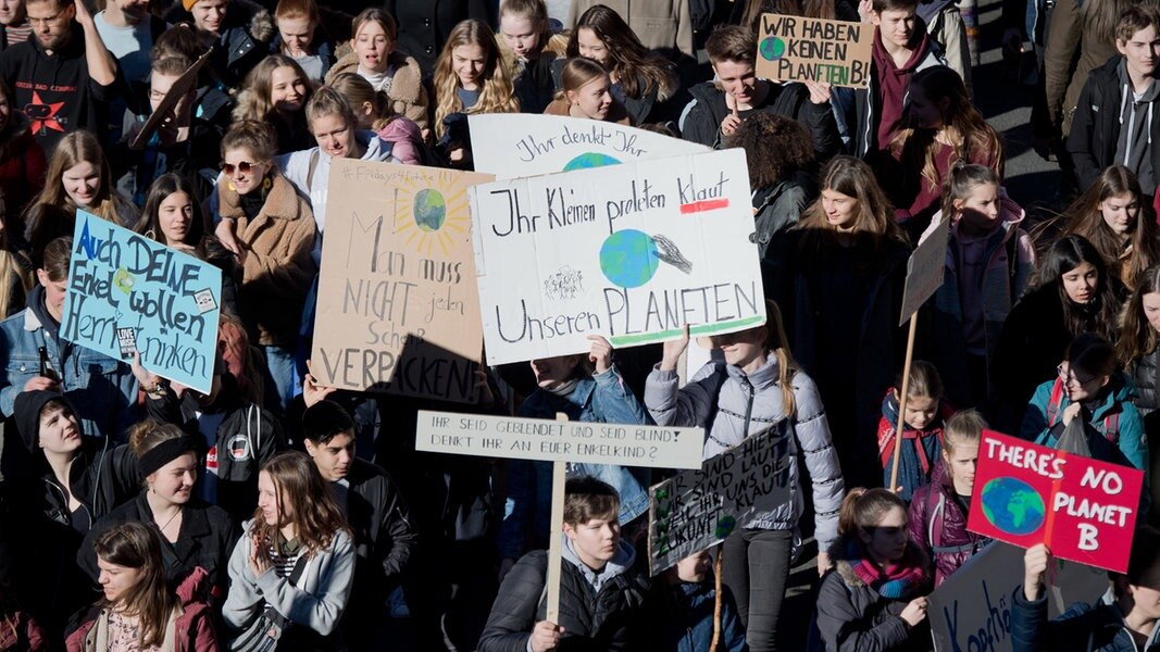 Fridays For Future Kohleausstieg Und Verkehrswende Ndr