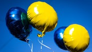 Mit Helium gefüllte Ballons in den Farben der ukrainischen Nationalflagge sind auf einer Demonstration gegen den Angriff Russlands auf die Ukraine vor einem blauen Himmel zu sehen. © dpa Foto: Moritz Frankenberg