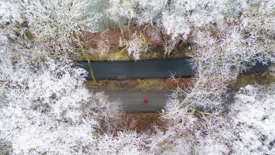 Raureif überzieht bei Temperaturen unter dem Gefrierpunkt Bäume am Ufer vom Maschsee. © dpa Foto: Julian Stratenschulte