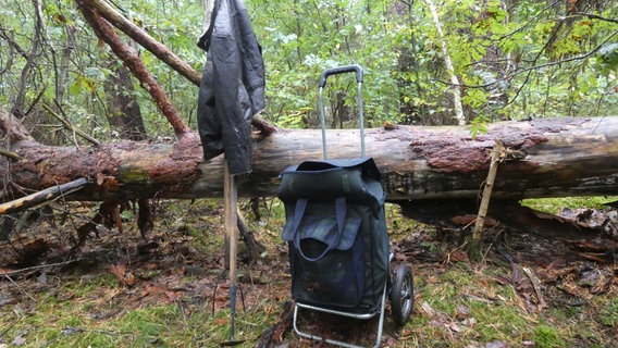 Eine Lederjacke, ein Einkaufstrolley und ein Spaten sind vor einem umgekippten Baum in einem Wald platziert. © Polizeikommissariat Mellendorf 