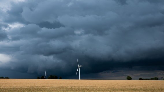Eine Gewitterfront zieht über einem Feld bei Hannover hinweg. © dpa-Bildfunk Foto: Julian Stratenschulte