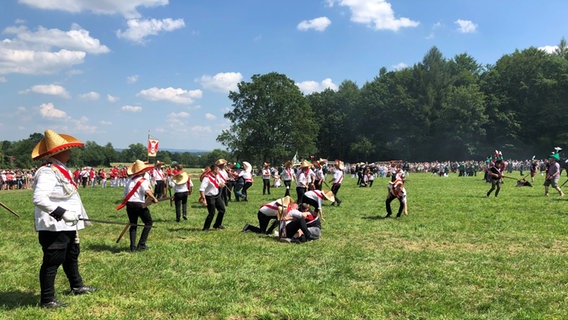 Menschen in Kostümen spielen eine Kriegsschlacht auf einem Feld. © NDR Foto: Wilhelm Purk