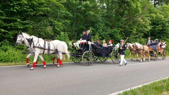 Menschen in Kostümen fahren mit einer Kutsche in Hemeringen. © NDR Foto: Jasmin Anderten