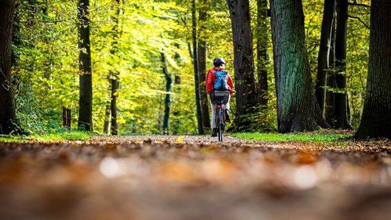 Eine Radfahrerin durchquert Hannovers Stadtwald, die Eilenriede. © dpa-Bildfunk Foto: Moritz Frankenberg