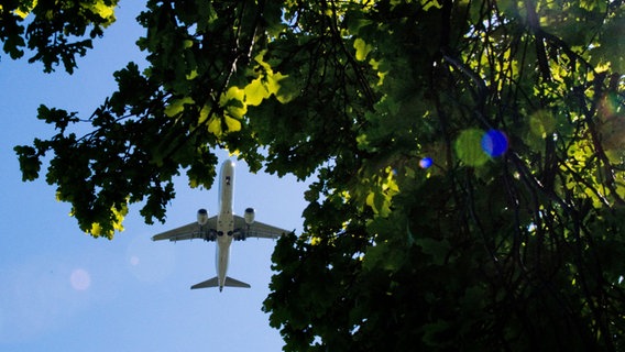 Ein Passagierflugzeug im Anflug auf den Flughafen Hannover fliegt über ein Rapsfeld hinweg. © dpa-Bildfunk Foto: Julian Stratenschulte