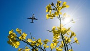 Ein Passagierflugzeug im Anflug auf den Flughafen Hannover fliegt über ein Rapsfeld hinweg. © dpa-Bildfunk Foto: Julian Stratenschulte