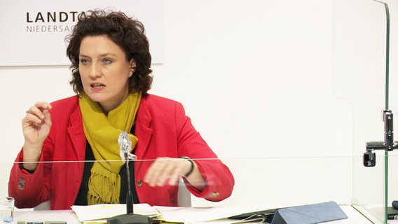 Health Minister Carola Reimann (SPD) speaks at a press conference.  © NDR 