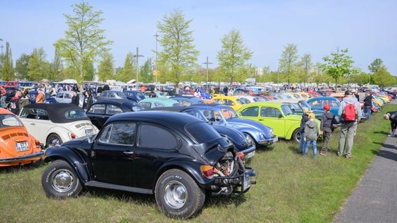 Viele Käfer parken beim 40. Maikäfertreffen. © Julian Stratenschulte/dpa Foto: Julian Stratenschulte/dpa