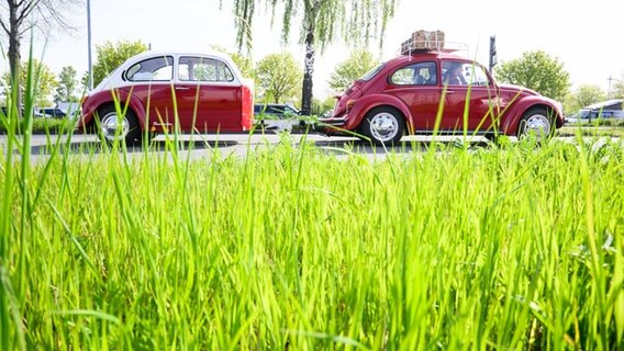 Ein roter Käfer (auto) mit Anhänger kommt zum 40. Maikäfertreffen. © Julian Stratenschulte/dpa Foto: Julian Stratenschulte/dpa