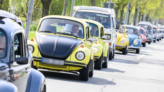 Viele Käfer (Autos) und Bullis stehen auf dem Weg zum beim 40. Maikäfertreffen im Stau. © Julian Stratenschulte/dpa Foto: Julian Stratenschulte/dpa