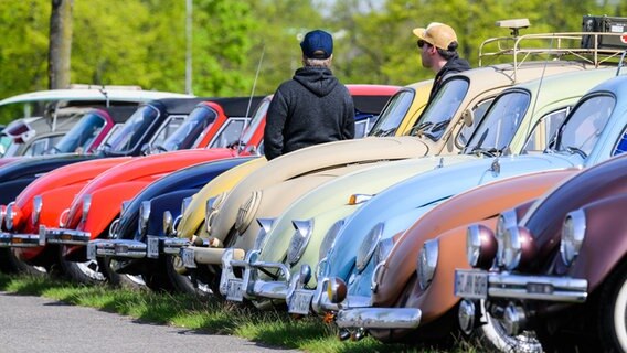 Viele Käfer (Autos) stehen beim 40. Maikäfertreffen parkend nebeneinander. © Julian Stratenschulte/dpa Foto: Julian Stratenschulte/dpa