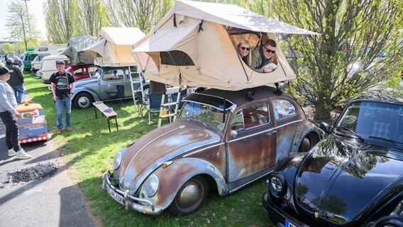 Ein Zelt auf einem Volkswagen Käfer beim 40. Maikäfertreffen. © Julian Stratenschulte/dpa Foto: Julian Stratenschulte/dpa