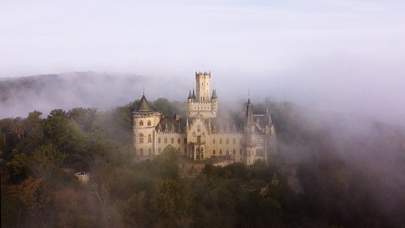 Eine Luftaufnahme zeigt die Marienburg im Nebel. © Tele-News-Network 