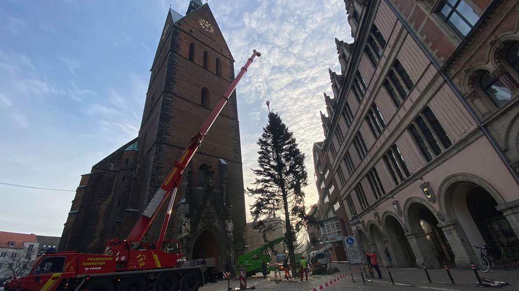 Tannenbaum aus SH für Spott in Hannover NDR.de Nachrichten