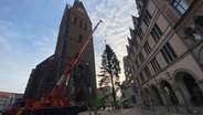 In Hannover wird an der Marktkirche ein Nadelbaum aufgestellt. © NDR Foto: Tanja Niehoff