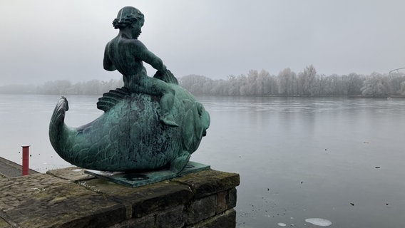 Nebel liegt über dem Maschsee in Hannover. Vorn links ist die Skulptur "Der Fischreiter" zu sehen. © NDR / Josy Wübben Foto: Josy Wübben