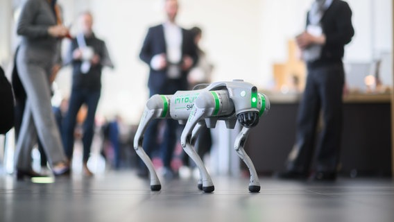 Ein Roboterhund der Firma MyBot Shop zur Anwendung in Industrie, Forschung und Entwicklung läuft auf der Pressekonferenz zur Hannover Messer 2025. © Julian Stratenschulte/dpa Foto: Julian Stratenschulte