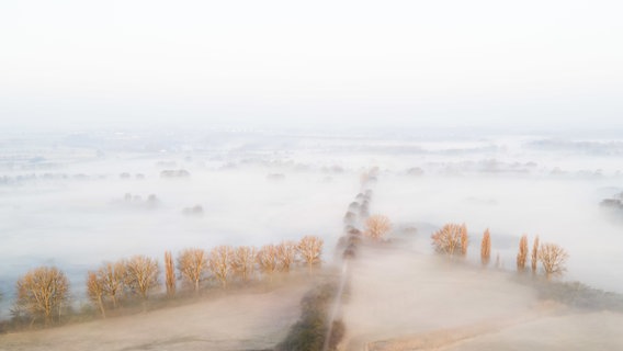 Hannover: Nebelschwaden ziehen bei Sonnenaufgang und Temperaturen um den Gefrierpunkt über die Leinemasch im Süden der Region Hannover hinweg (Aufnahme mit Drohne). © dpa-Bildfunk Foto: Julian Stratenschulte