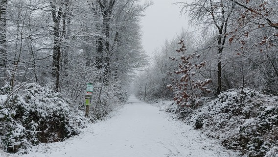 Schnee liegt auf einem Weg in Hessisch Oldendorf. © NDR Foto: Jasmin Anderten