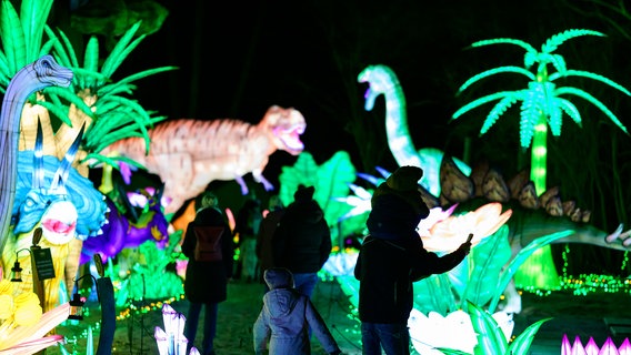 Besucher gehen vorbei an beleuchteten Dinosaurier beim Lichterfestival im Serengeti Park. © dpa-Bildfunk Foto: Philipp Schulze