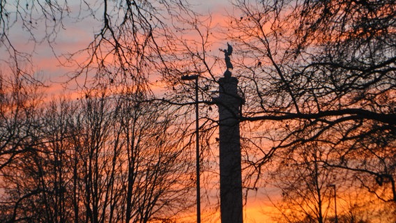 Bunter Himmel beim Sonnenaufgang in Hannover. Davor die Umrisse von Zweigen und der Waterloosäule. © NDR 